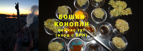 экстази Белокуриха